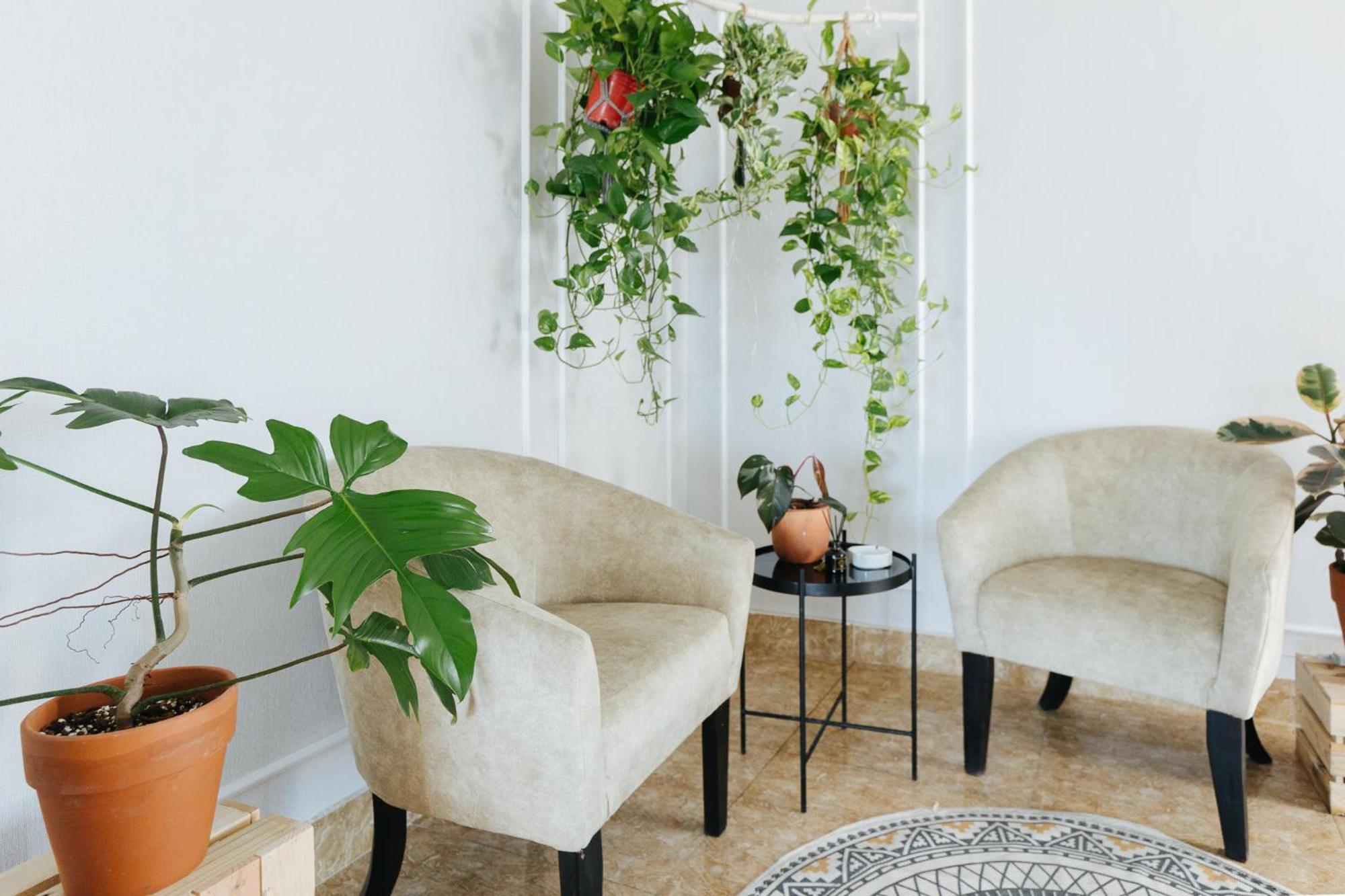 Ivy Hotel & Apartment - Stay 24H Ανόι Εξωτερικό φωτογραφία
